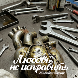Любовь не исправить, песня Тимофей Шашков