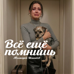 Всё ещё помнишь, песня Тимофей Шашков
